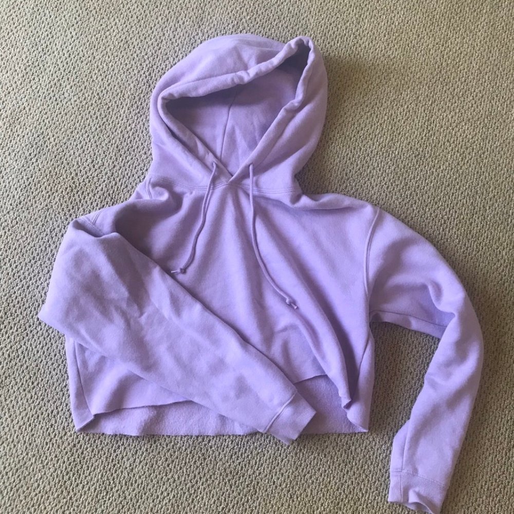 Pink/Purple Cozy Crop Hoodie